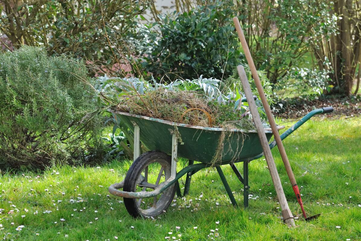 Gartenabfälle in einem Schubkarren